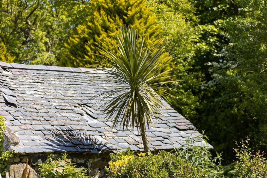 Plas Newydd With Swimming Pool, Fire Pit, And Log Fires Villa Rhiw Exterior photo